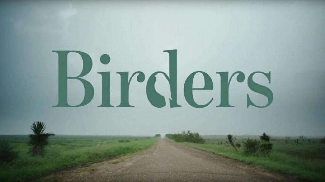 Birders