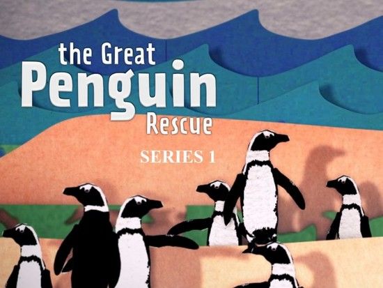 The Great Penguin Rescue