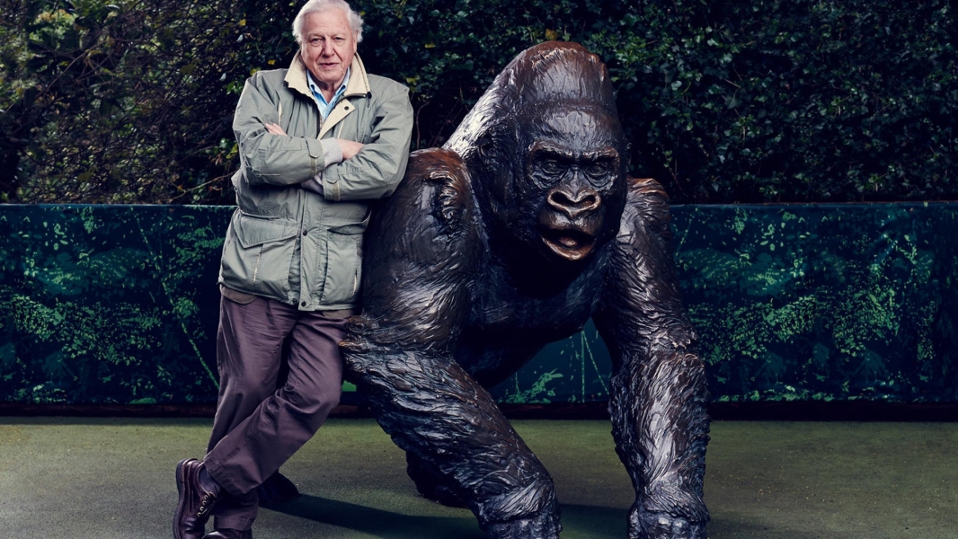 David Attenborough's Natural Curiosities