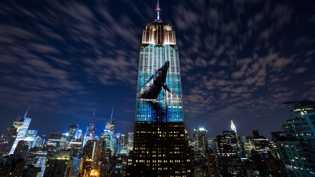 Racing Extinction