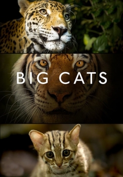 Big Cats